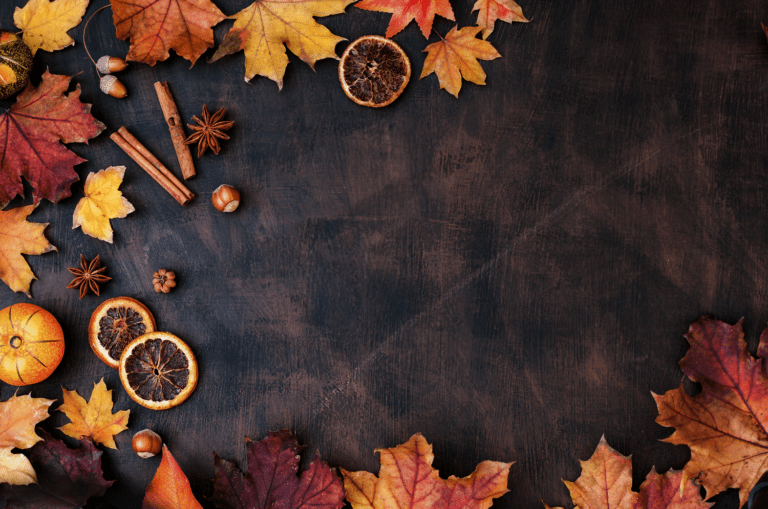 Autumn-inspired flat lay with dried orange slices, cinnamon sticks, star anise, acorns, and colorful maple leaves on a dark wooden background. Perfect for crafting an engaging Thanksgiving ambiance or setting the mood for a warm church service gathering. The items border the image, leaving space in the center.